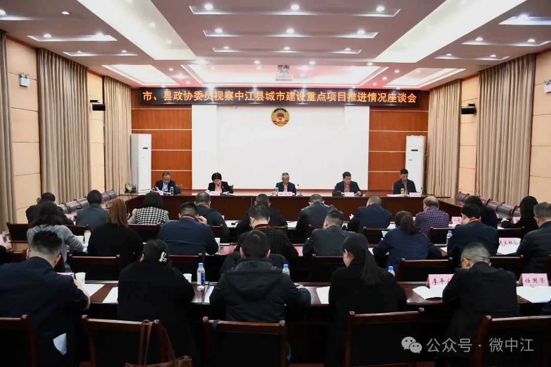看进度、听汇报、提建议，政协委员视察中江...